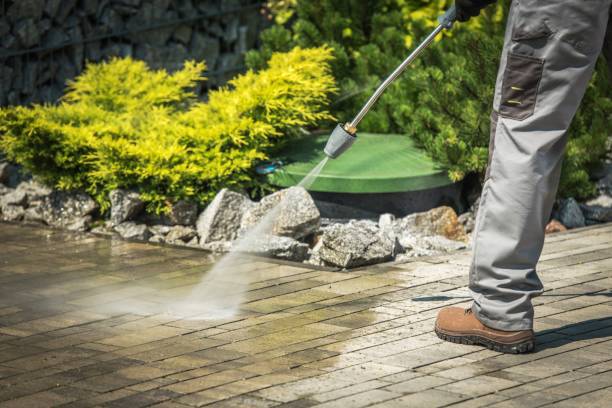 Best Dumpster Area Cleaning  in Williston Highlands, FL