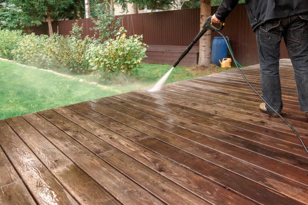 Best Sidewalk and Walkway Cleaning  in Williston Highlands, FL