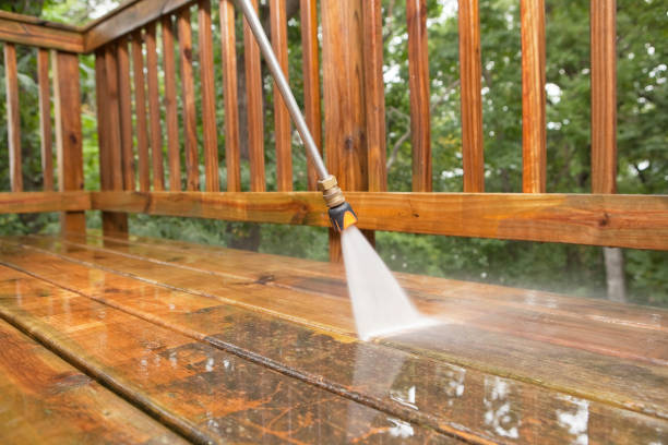 Best Restaurant Pressure Washing  in Williston Highlands, FL